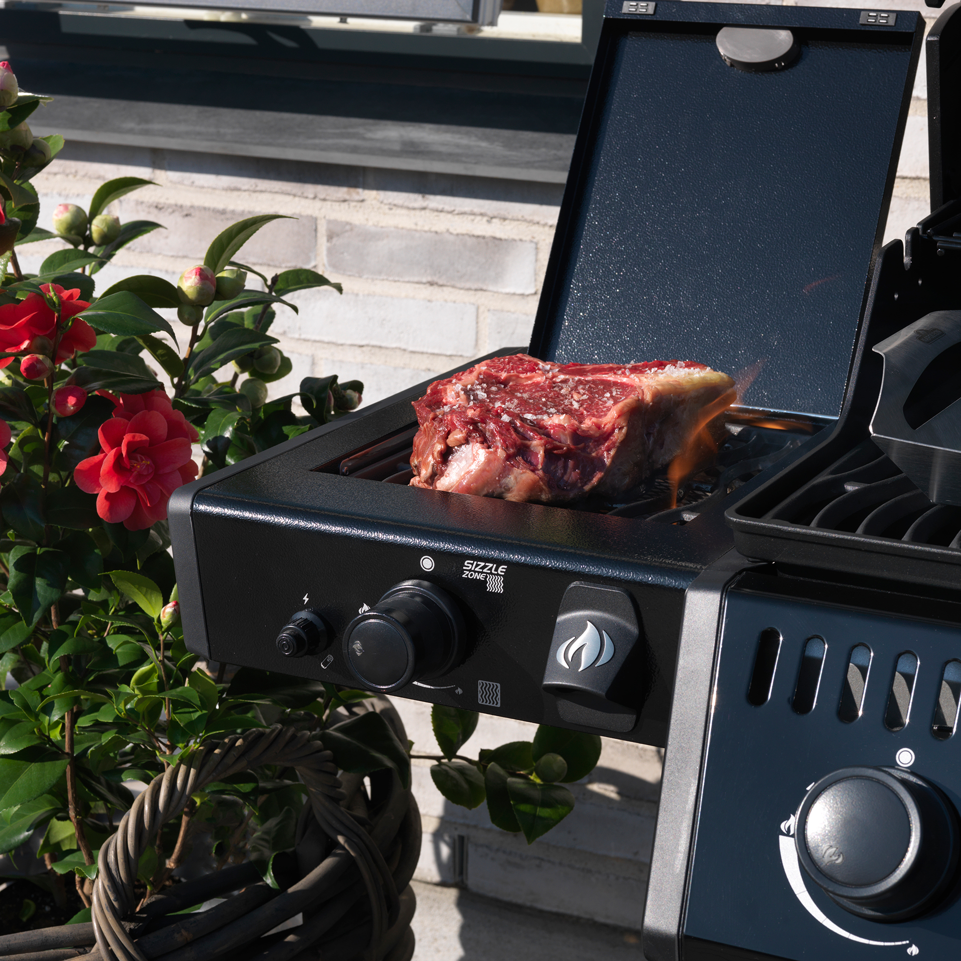 Napoleon Legend Sort M Sizzle Zone Sizzlezone 02