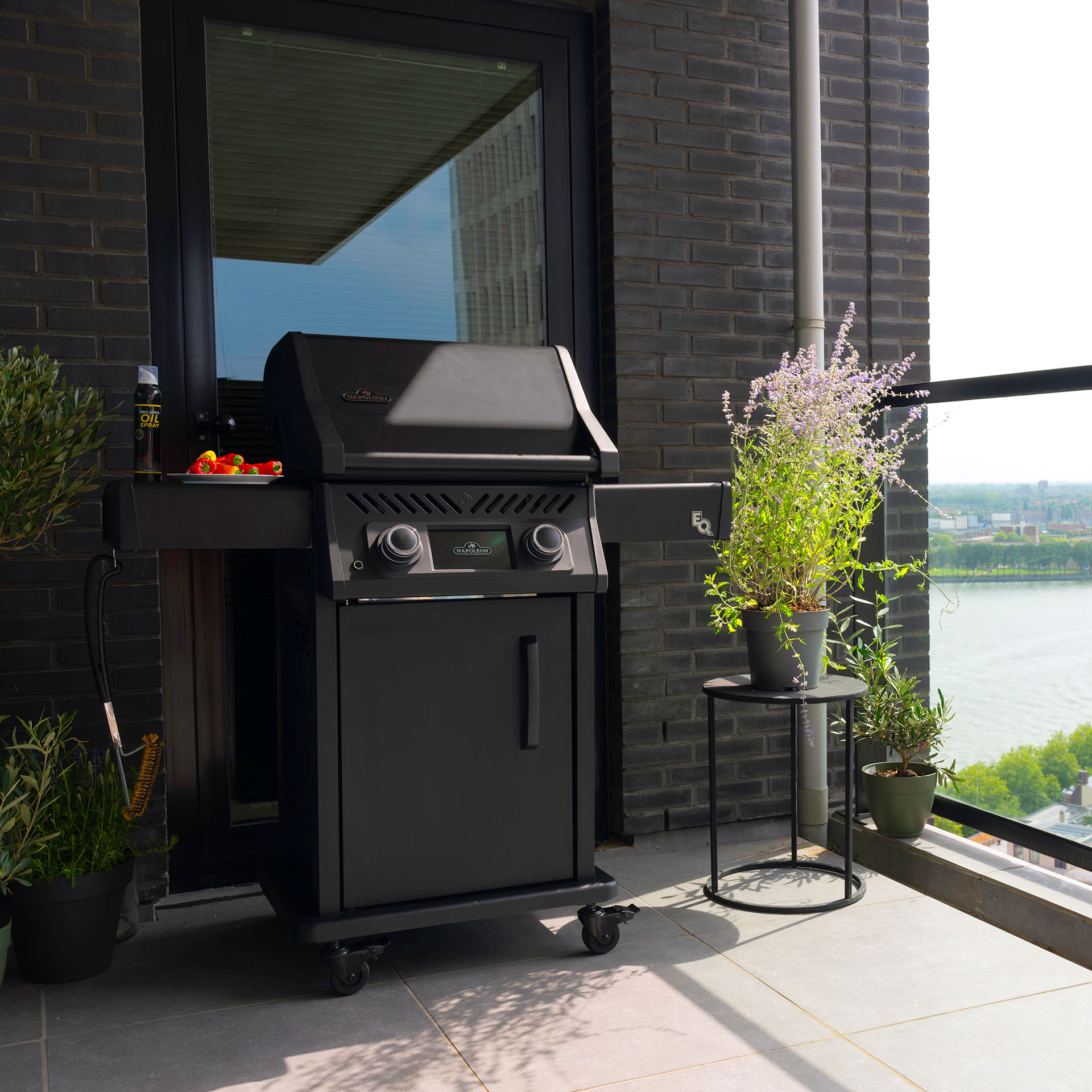 Napoleon Rogue 365 EQ Elgrill Lifestyle1